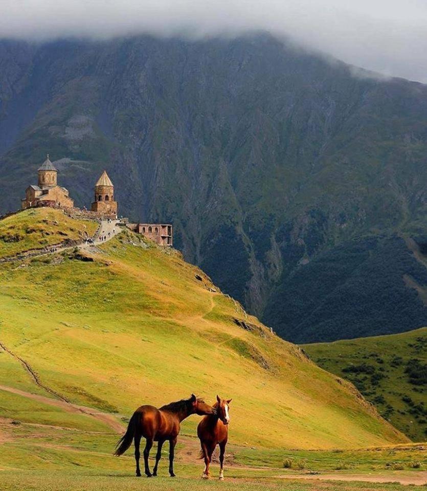 Ineza'S Guest House Kazbegi Exterior foto